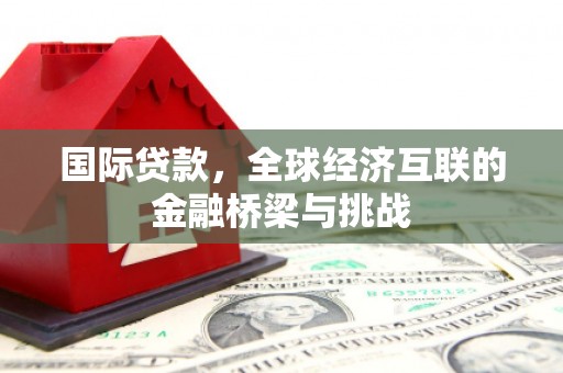柳河国际贷款，全球经济互联的金融桥梁与挑战