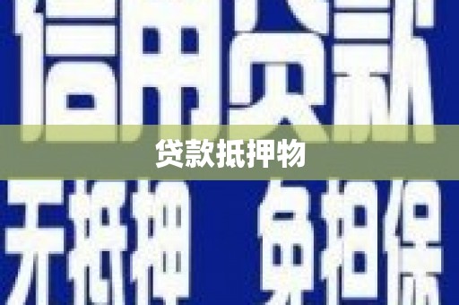 柳河贷款抵押物
