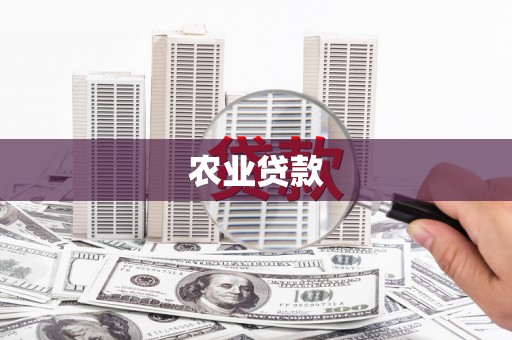 柳河农业贷款