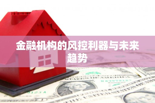 柳河金融机构的风控利器与未来趋势