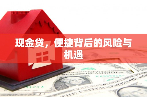 柳河现金贷，便捷背后的风险与机遇