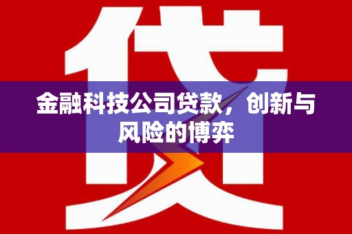 柳河金融科技公司贷款，创新与风险的博弈