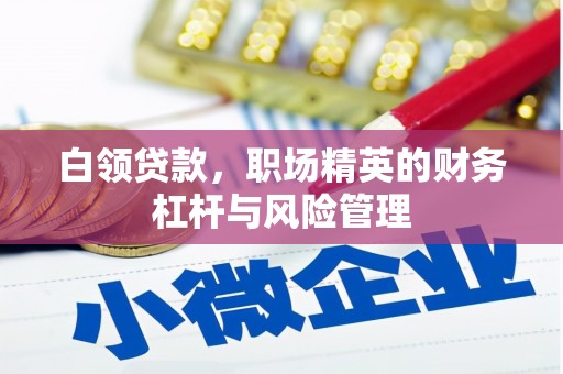 柳河白领贷款，职场精英的财务杠杆与风险管理