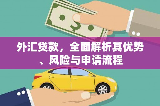 柳河外汇贷款，全面解析其优势、风险与申请流程