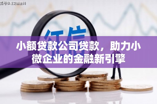 柳河小额贷款公司贷款，助力小微企业的金融新引擎