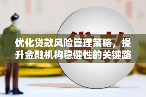 柳河优化贷款风险管理策略，提升金融机构稳健性的关键路径