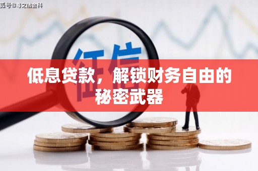 柳河低息贷款，解锁财务自由的秘密武器