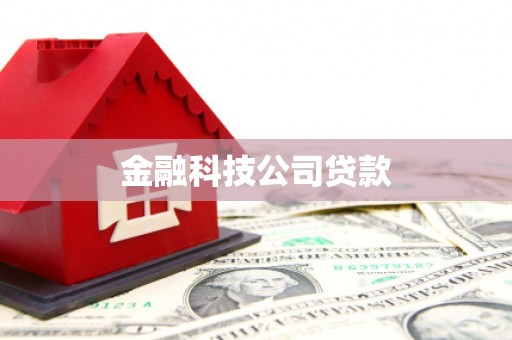 柳河金融科技公司贷款