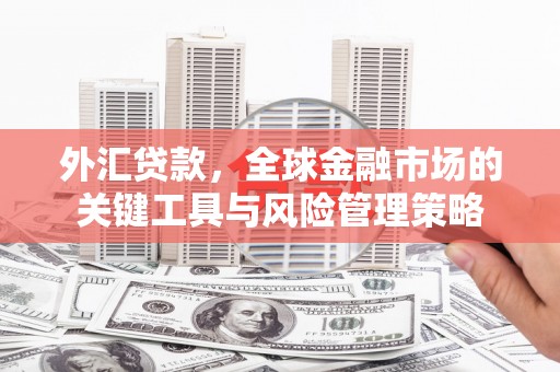 柳河外汇贷款，全球金融市场的关键工具与风险管理策略
