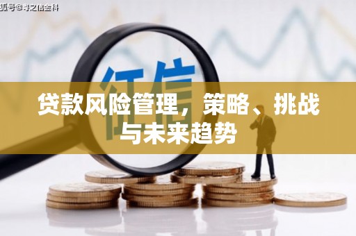 柳河贷款风险管理，策略、挑战与未来趋势