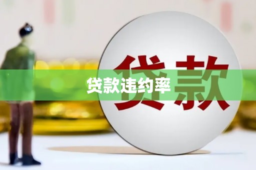 柳河贷款违约率