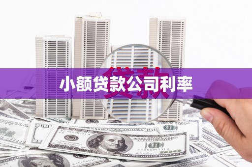 柳河小额贷款公司利率