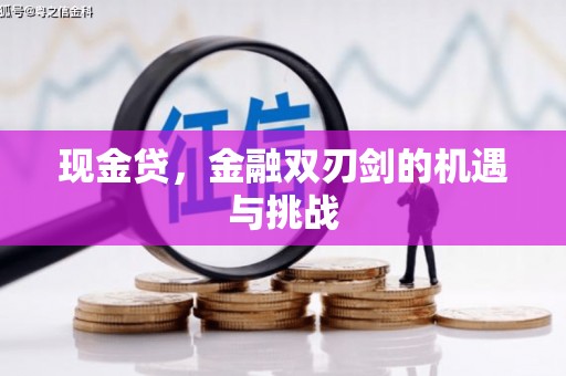 柳河现金贷，金融双刃剑的机遇与挑战