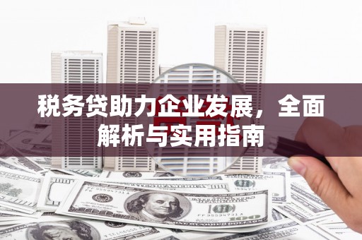 柳河税务贷助力企业发展，全面解析与实用指南