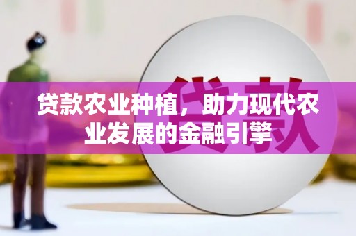 柳河贷款农业种植，助力现代农业发展的金融引擎
