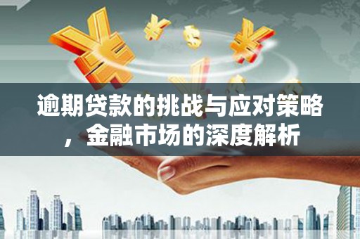 柳河逾期贷款的挑战与应对策略，金融市场的深度解析