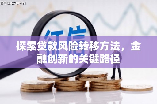 柳河探索贷款风险转移方法，金融创新的关键路径