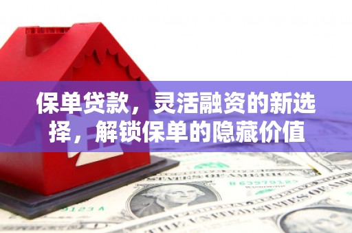 柳河保单贷款，灵活融资的新选择，解锁保单的隐藏价值