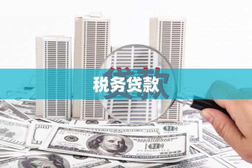 柳河税务贷款