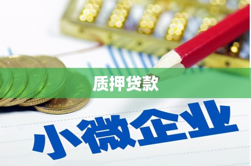 柳河质押贷款