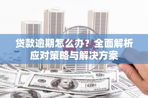 柳河贷款逾期怎么办？全面解析应对策略与解决方案