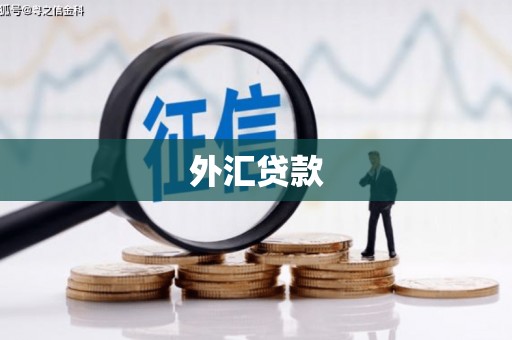 柳河外汇贷款