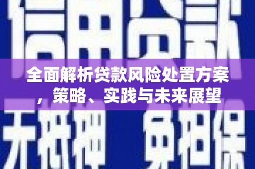 柳河全面解析贷款风险处置方案，策略、实践与未来展望