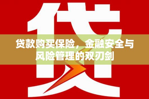 柳河贷款购买保险，金融安全与风险管理的双刃剑