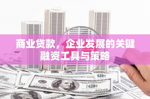 柳河商业贷款，企业发展的关键融资工具与策略
