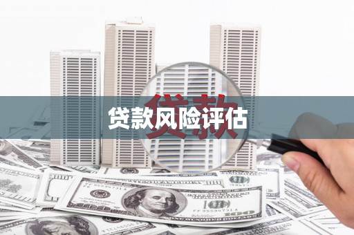 柳河贷款风险评估