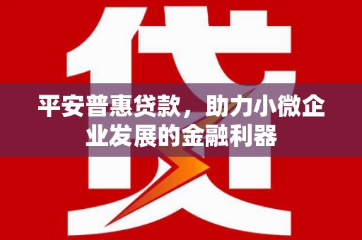柳河平安普惠贷款，助力小微企业发展的金融利器