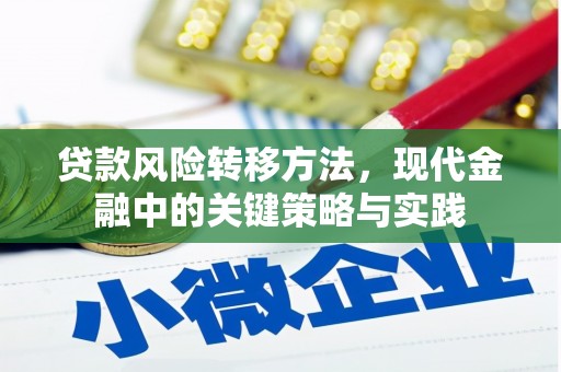 柳河贷款风险转移方法，现代金融中的关键策略与实践