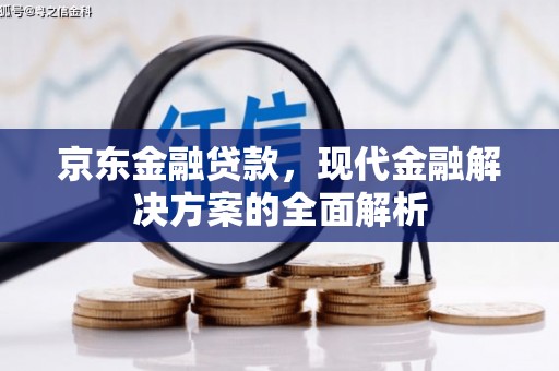柳河京东金融贷款，现代金融解决方案的全面解析