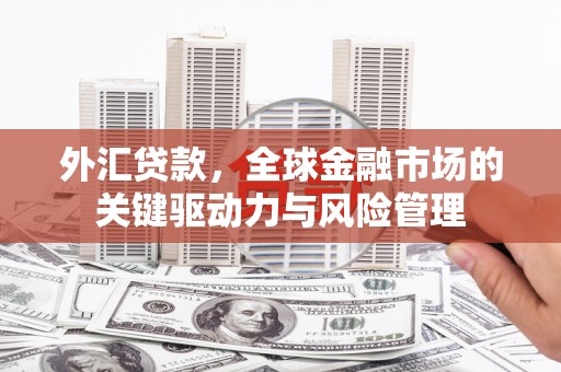 柳河外汇贷款，全球金融市场的关键驱动力与风险管理