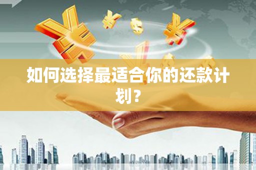 柳河如何选择最适合你的还款计划？