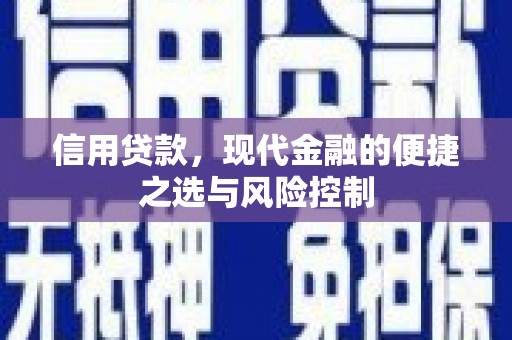 柳河信用贷款，现代金融的便捷之选与风险控制