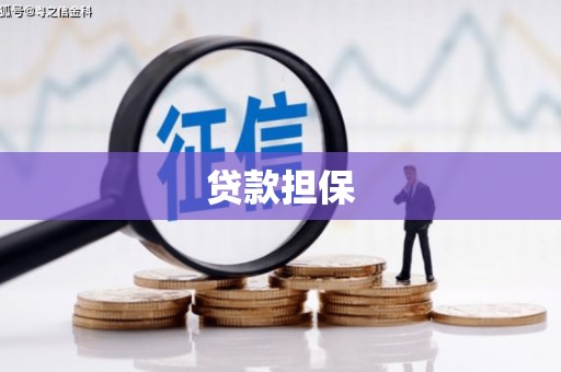 柳河贷款担保