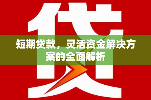 柳河短期贷款，灵活资金解决方案的全面解析