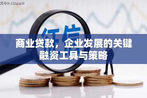 柳河商业贷款，企业发展的关键融资工具与策略