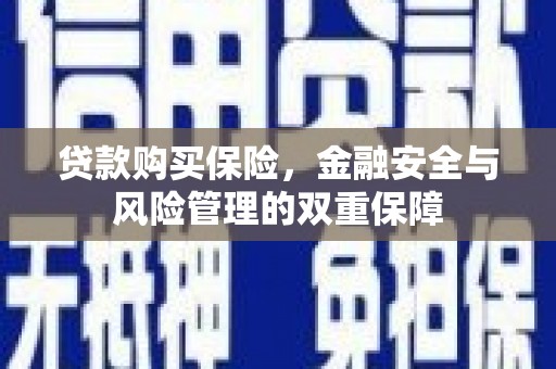 柳河贷款购买保险，金融安全与风险管理的双重保障