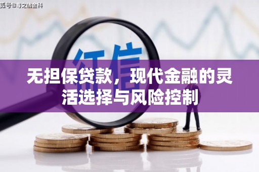 柳河无担保贷款，现代金融的灵活选择与风险控制