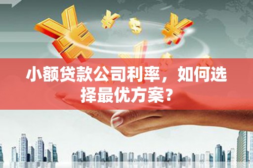 柳河小额贷款公司利率，如何选择最优方案？