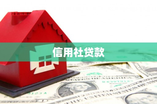 柳河信用社贷款