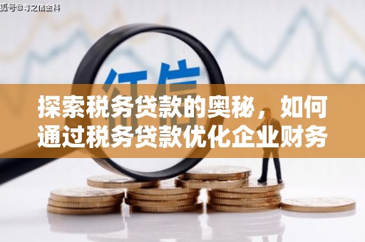 柳河探索税务贷款的奥秘，如何通过税务贷款优化企业财务