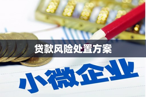 柳河贷款风险处置方案