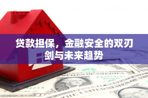 柳河贷款担保，金融安全的双刃剑与未来趋势