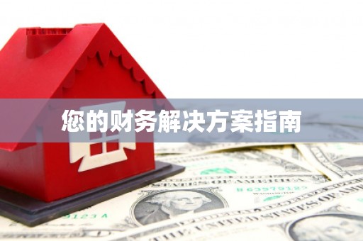 柳河您的财务解决方案指南