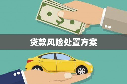 柳河贷款风险处置方案