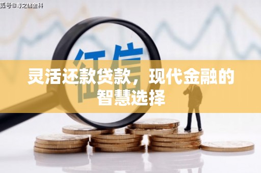 柳河灵活还款贷款，现代金融的智慧选择
