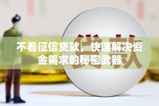 柳河不看征信贷款，快速解决资金需求的秘密武器